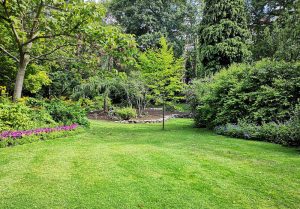 Optimiser l'expérience du jardin à Epineau-les-Voves